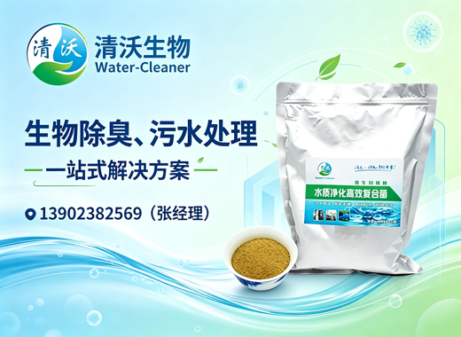 清沃生物湛江线上分站